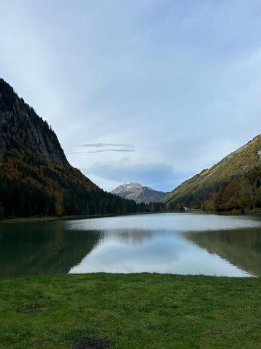 Les Chalets De Montriond B101 외부 사진